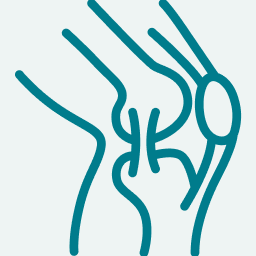 Bone and joint icon