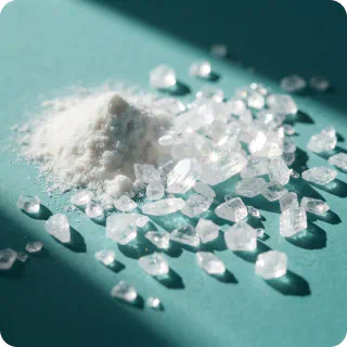 Type II Collagen
