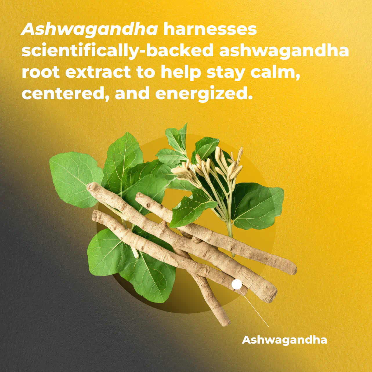 Ashwagandha