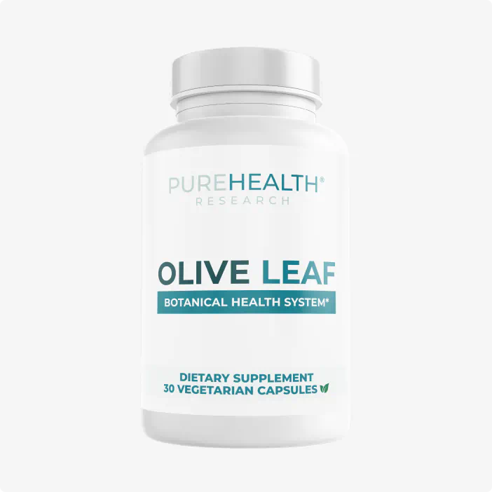 Olive Leaf