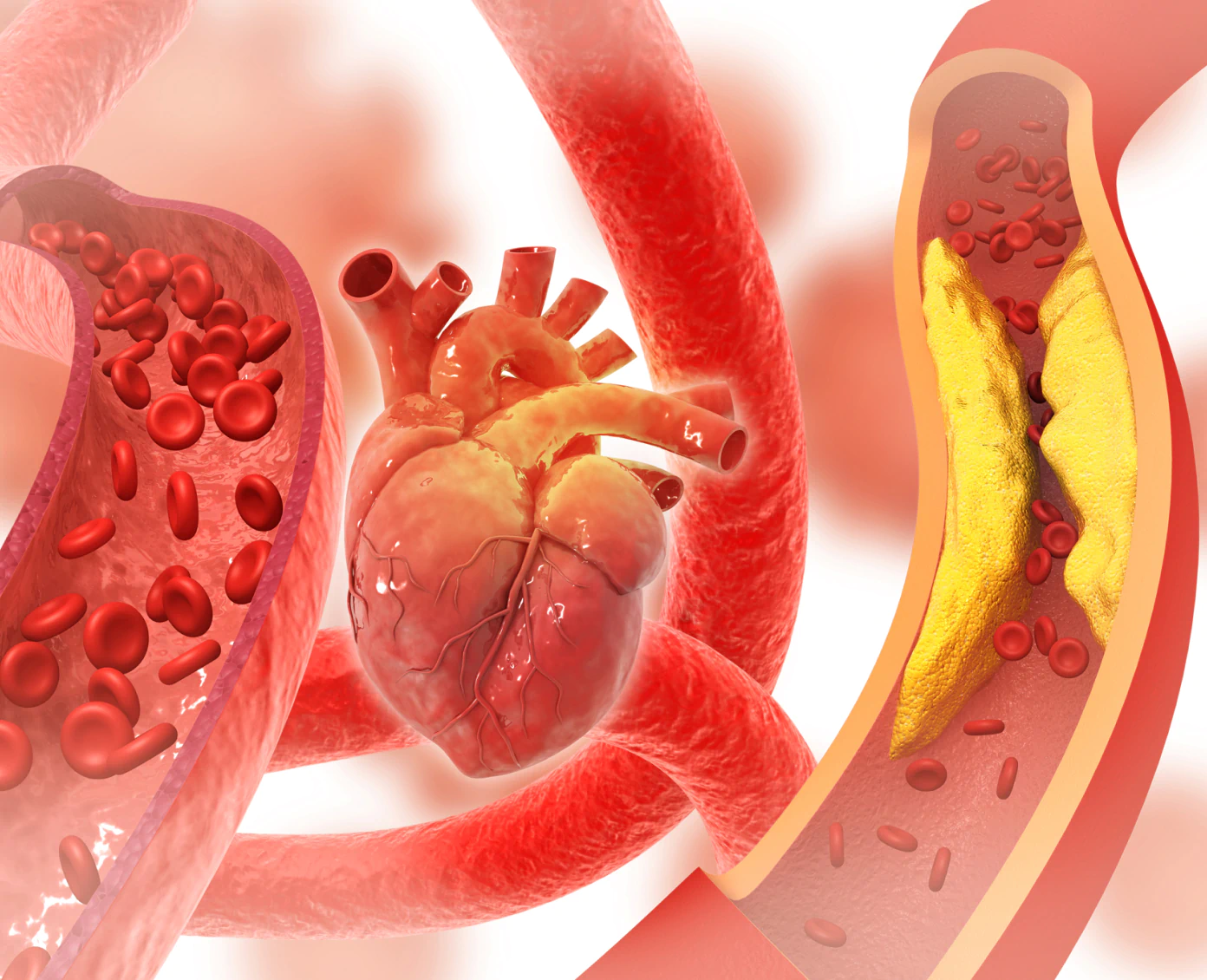Circulating blood