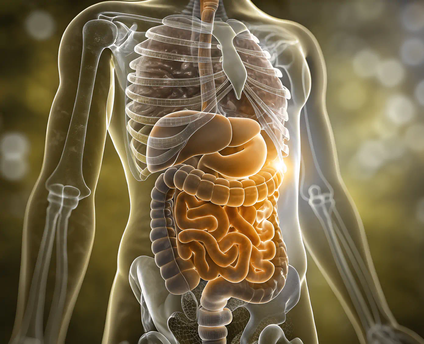 gut health