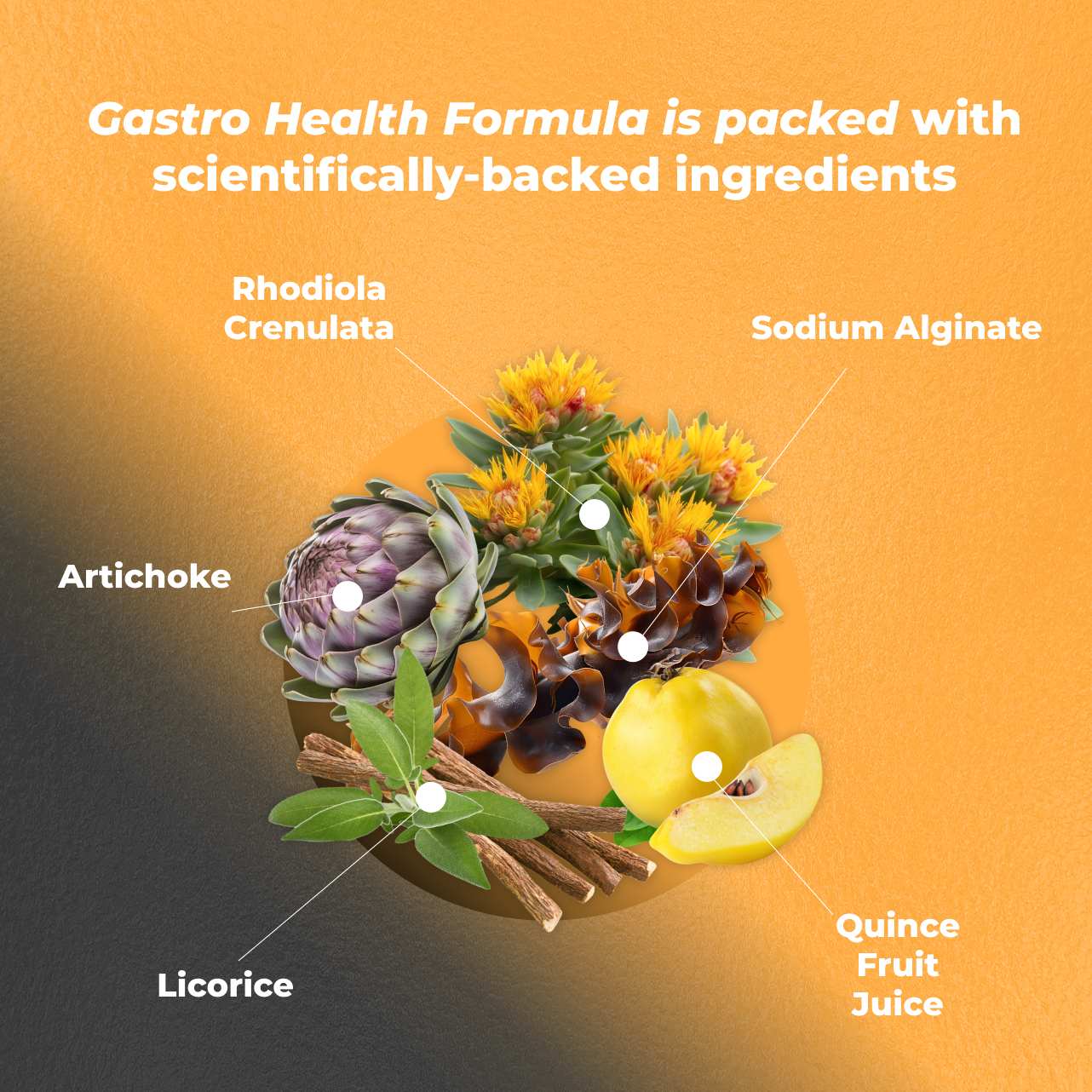 Gastro Health Formula