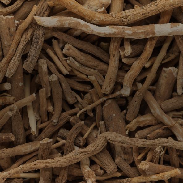 Ashwagandha Extract