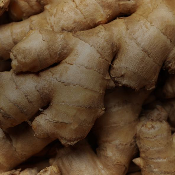 Ginger