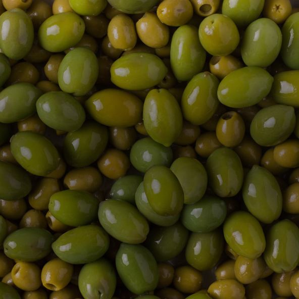 Olive Extract