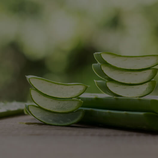 Aloe Vera leaf&nbsp;gel concentrate