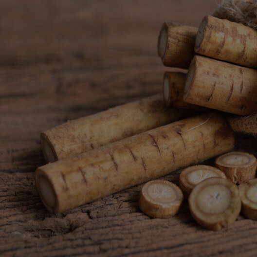 Burdock Root