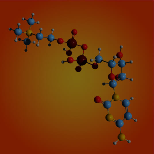 CDP Choline 