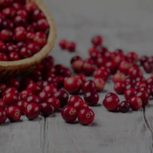 Cranberry Fruit