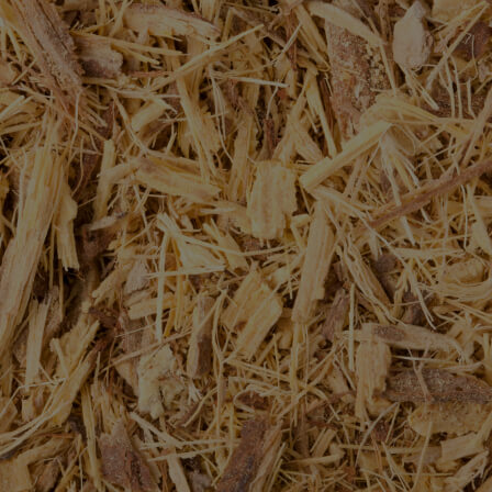 Deglycyrrhizi&shy;nated Licorice Root