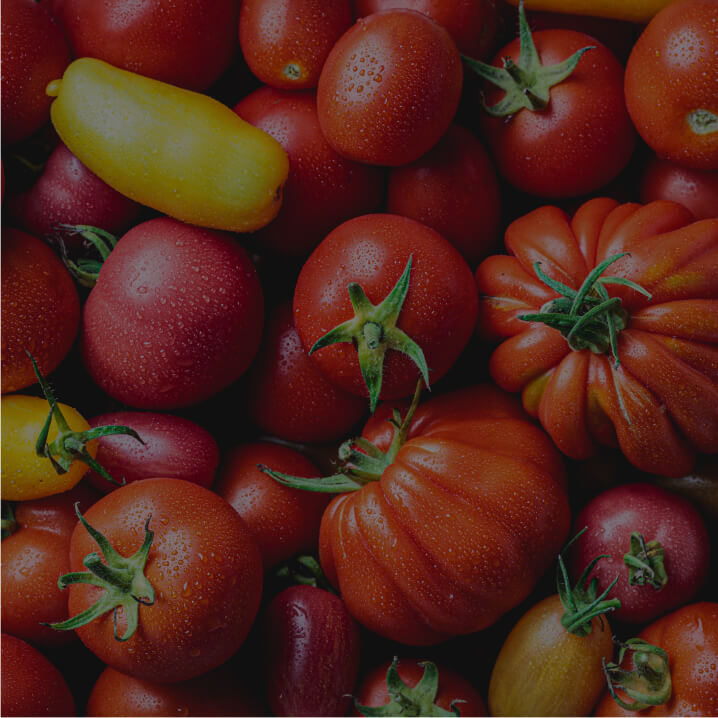 Lycopene