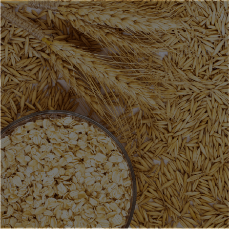 Oat straw
