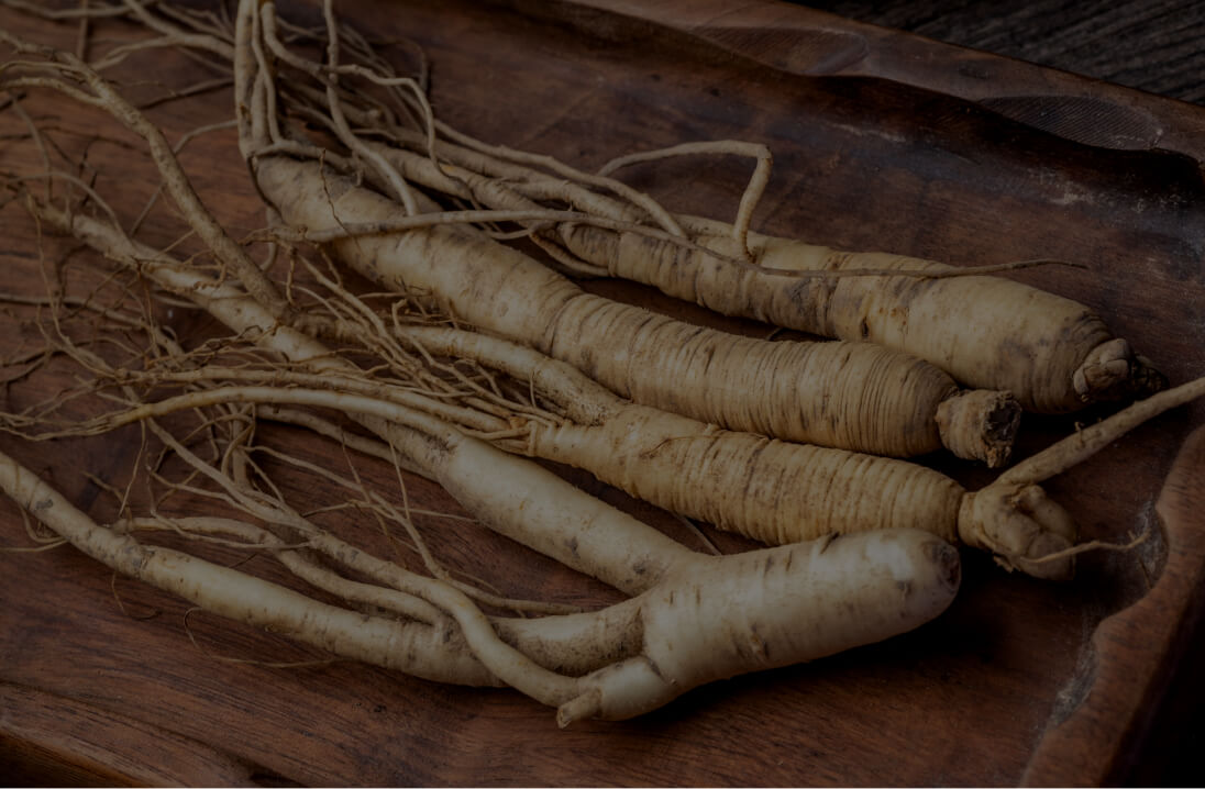 Panax ginseng (stem and leaf)