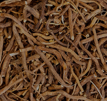 Valerian Root