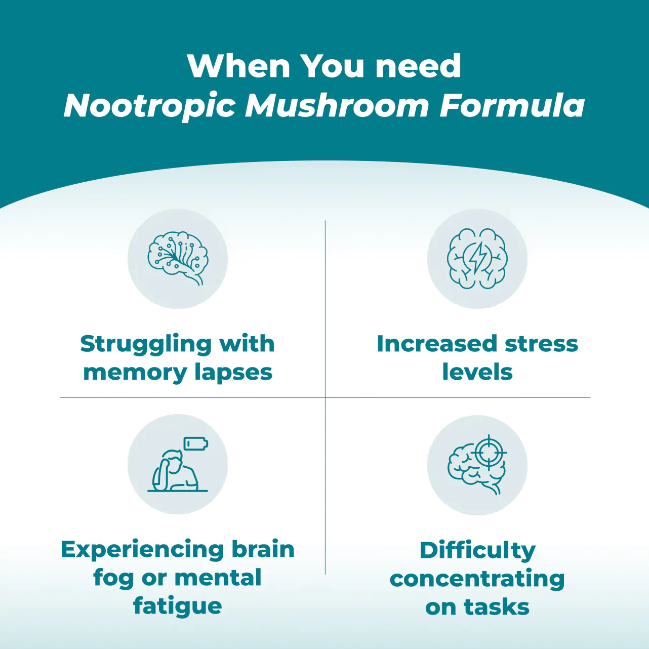 Nootropic Mushroom Formula