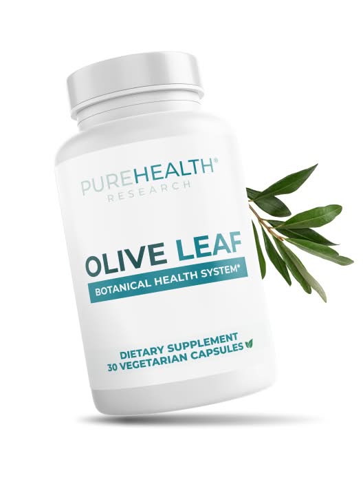 Olive Leaf
