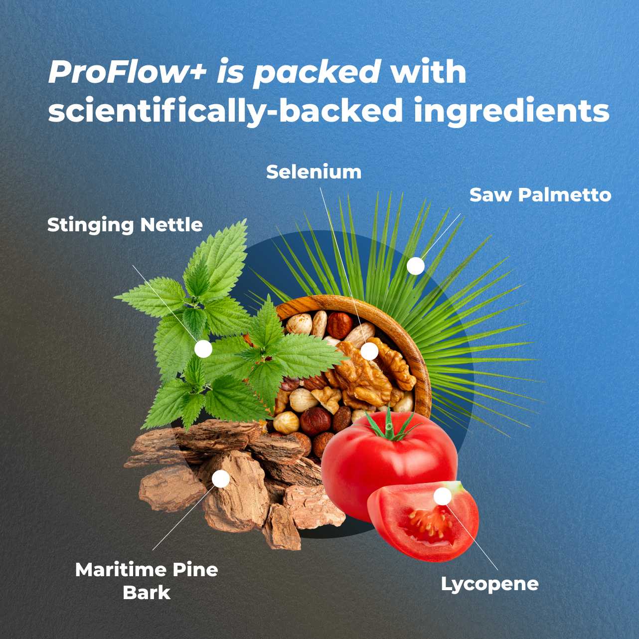 ProFlow+