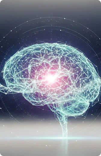 Brain activity